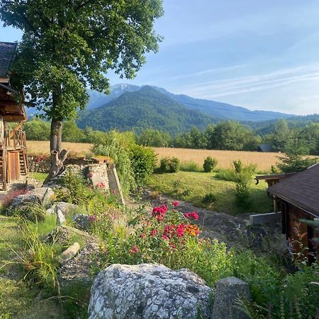 Cabana Vanatorului 8 Sohodol  Buitenkant foto