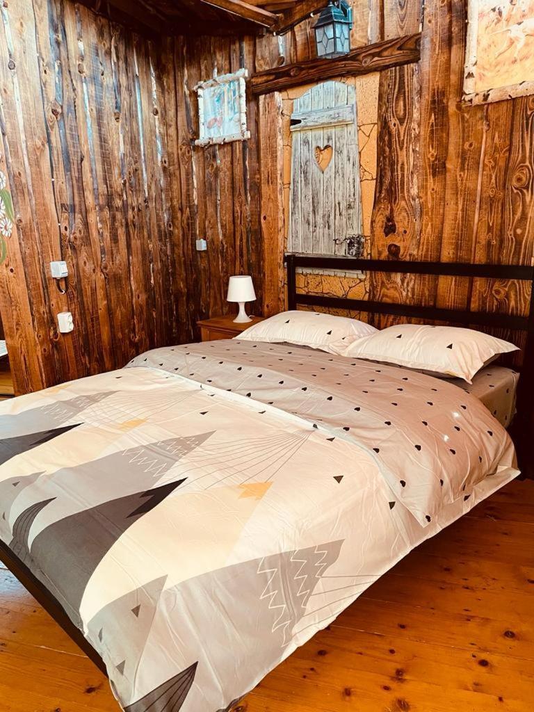 Cabana Vanatorului 8 Sohodol  Buitenkant foto