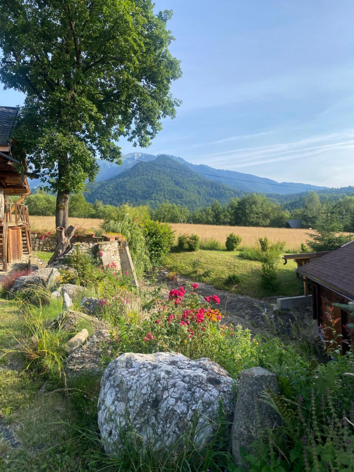 Cabana Vanatorului 8 Sohodol  Buitenkant foto